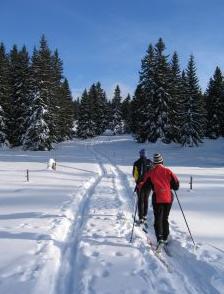 cross-country-ski-trip-yosemite