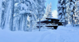 truckee-ski-lease-2026